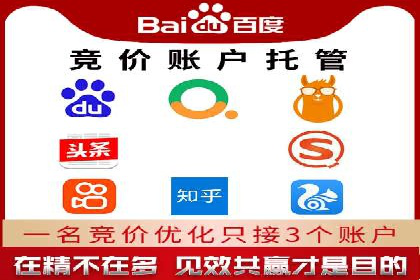 行业巨头背后的SEM推广代运营公司